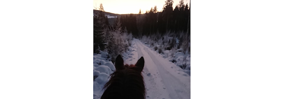 Ride- og Kjøretur før årsmøtet